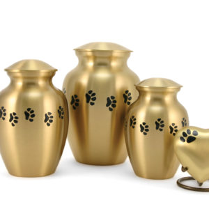 Bronze Paw Cremation Urns