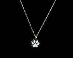 Single Paw Print Pendant Urn